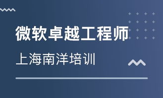 上海Microsoft卓越工程師系列課程價格與軟件開發培訓機構對比分析